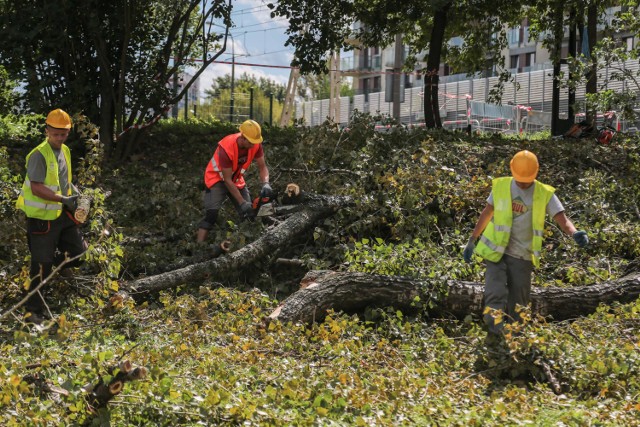 Ponieważ 120-metrowa ścieżka będzie częściowo biegła po dość wysokiej skarpie, na początek wykonawca musi wykonać mur oporowy, który ją zabezpieczy. Jego budowa rozpoczęła się tuż przy przystanku tramwajowym. Przy okazji pod topór idą drzewa - to konieczne, bo ścieżkę pieszo-rowerową trzeba poszerzyć o ok. półtora metra. Drzewa do wycinki to m.in. robinie, lipa, topole, głóg, jesion, klony i inne. Wszystkie są zdrowe.