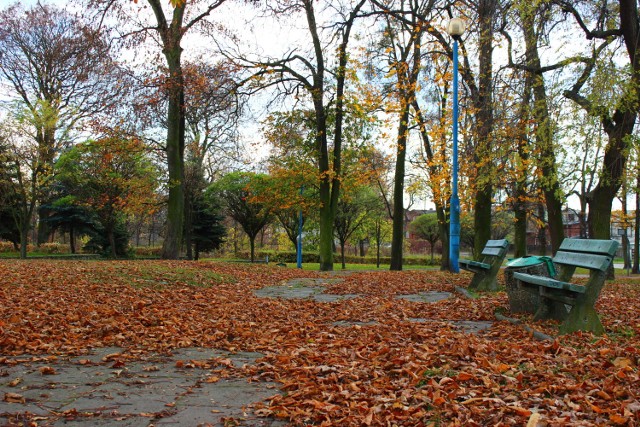 Zdjęcie nadesłane do kalendarza Nasze Miasto 2014