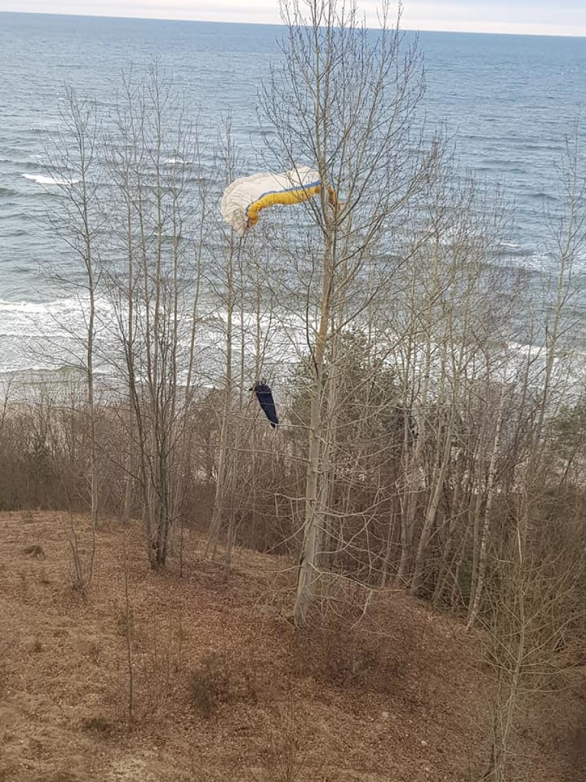 Paralotniarz na drzewie, marzec 2018