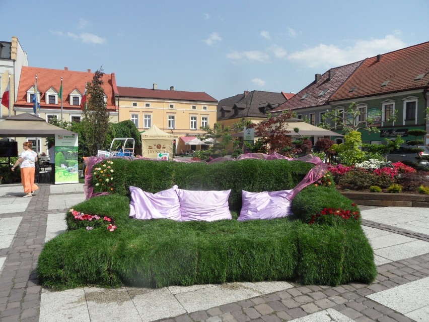 Daisy Days 2014 w Pszczynie