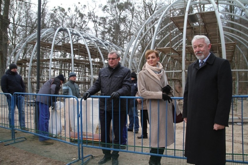 Nowe łabędzie w parku w Wejherowie