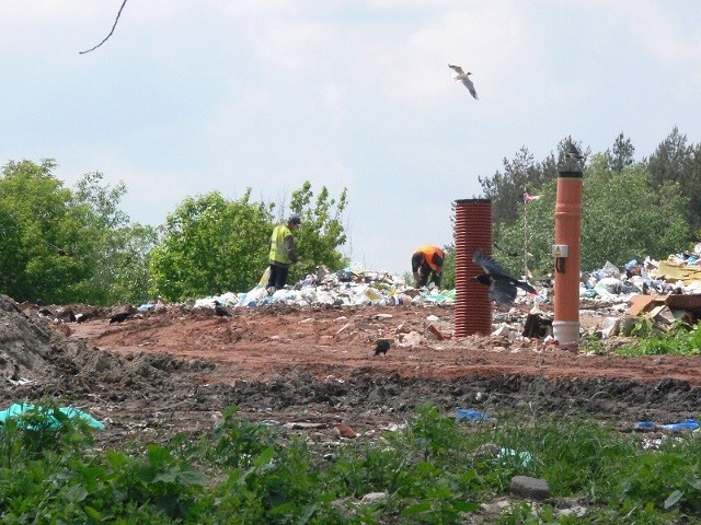 Przynajmniej do 2017 roku łowickie śmieci będą trafiać na miejskie składowisko odpadów w Jastrzębi