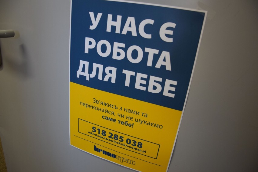 Ogłoszenie o pracę po ukraińsku szczecineckiego Kronospanu