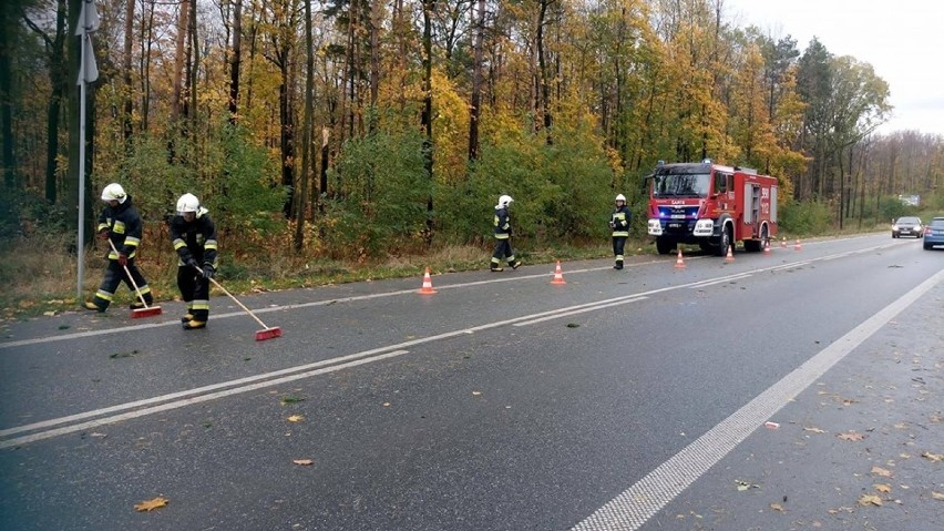 Nawałnica w Rybniku łamała drzewa, latarnie i słupy energetyczne