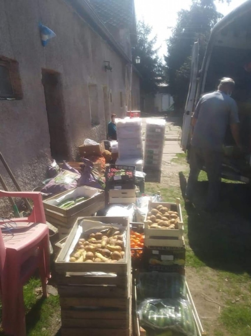 Setki kilogramów warzyw i owoców trafiły do ZOO w Łącznej