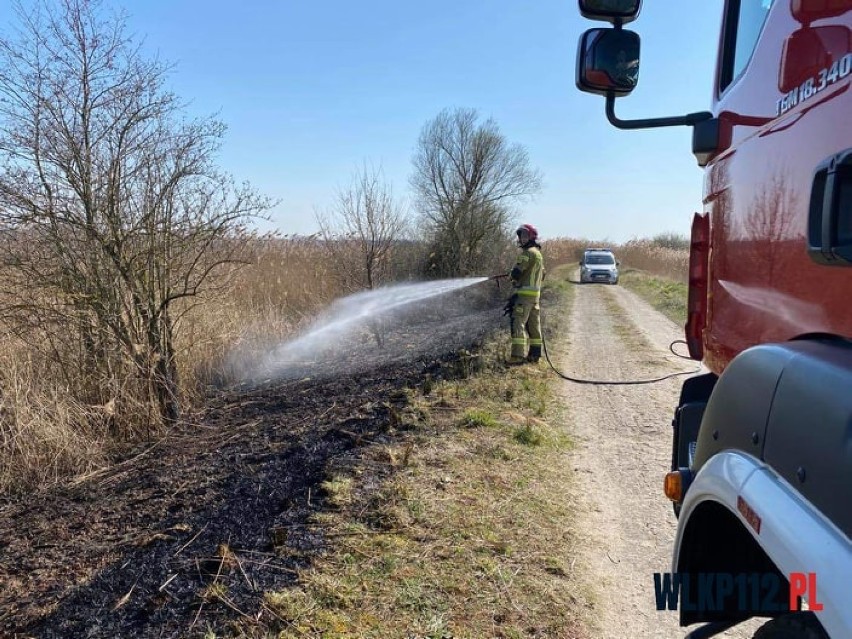 Dwukrotnie strażacy wyjeżdżali dziś do pożaru traw na terenie powiatu wolsztyńskiego