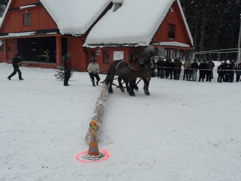 Najlepsi beskidzcy furmani spotkali się w Istebnej. [ZDJĘCIA]