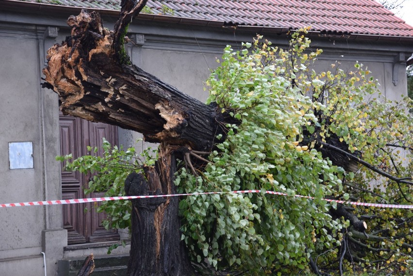 Ksawery sparaliżował powiat. Trwa usuwanie szkód. Dwóch strażaków rannych [ZDJĘCIA]