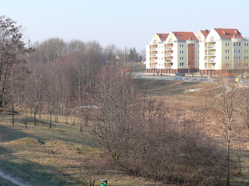 Park nad Krępicą w Kaliszu