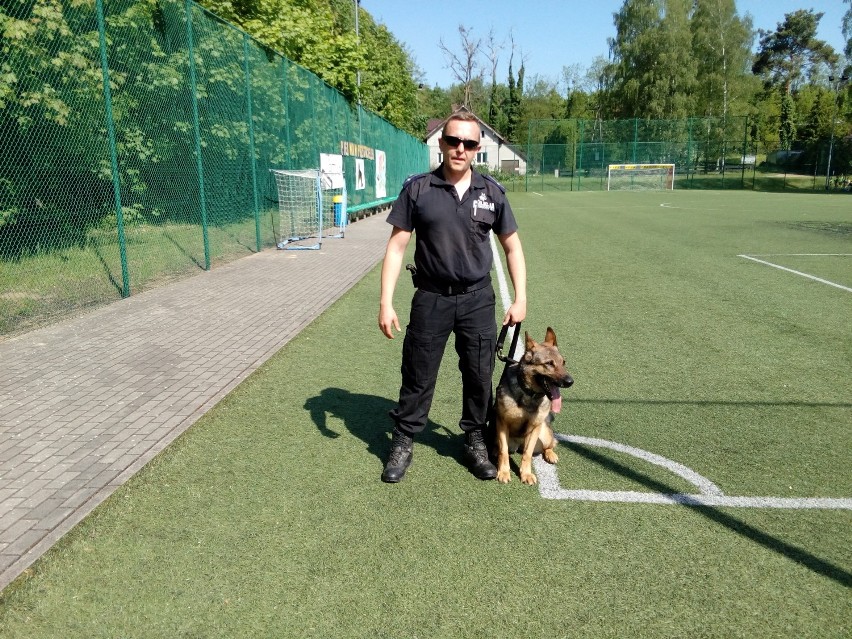 Policyjne psy - ich umiejętności i siłę mogły zobaczyć przedszkolaki z Lubasza [ZDJĘCIA]
