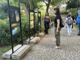 Wernisaż: 11 spojrzeń fotograficznych. Zdjęcia miejscowych fotografów na stałe zagościły w ogrodzie Muzeum Śremskiego