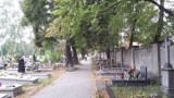 Mysłowice założą cmentarz komunalny. Pierwszy w mieście