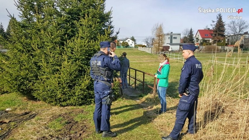 Makabryczne odkrycie w Gliwicach. W potoku znaleziono płód dziecka