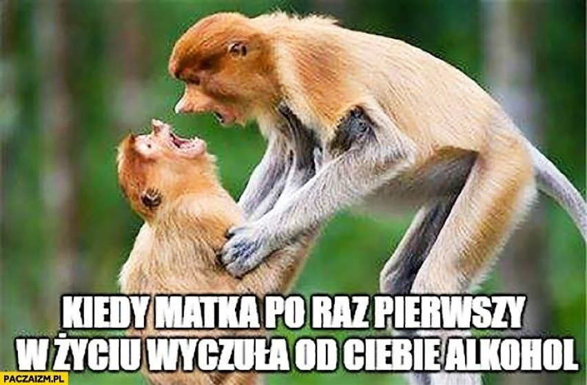 https://d-art.ppstatic.pl/kadry/k/r/f7/8f/628f3878c6a7e_o_large.jpg