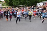 Chodzież: 330 uczestników Małego Biegu Grzymalitów (Zdjęcia cz.1)