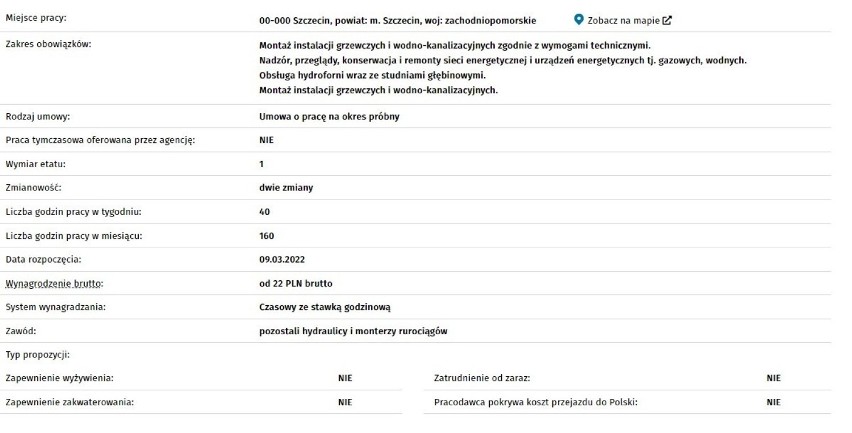 Najnowsze oferty pracy w Szczecinie i regionie. Jakie zawody są poszukiwane?