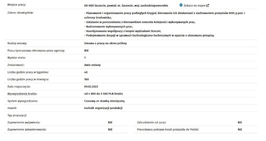 Najnowsze oferty pracy w Szczecinie i regionie. Jakie zawody są poszukiwane?