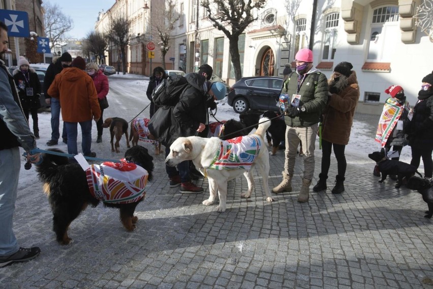 30. Finał WOŚP w Rzeszowie - znamy program. Na Rynku będą warsztaty, pokazy i koncerty