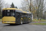 Bełchatów. MZK wybiera ofertę producentów autobusów