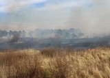 Gm. Lichnowy. Duży pożar nieużytków w okolicy Boręt Pierwszych. Ogień gasiły jednostki OSP z dwóch gmin oraz JRG Malbork