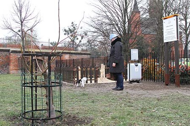 Wybieg dla psów powstał przy wałach gen. Sikorskiego 12 w Toruniu.