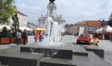 Wadowice. W niedzielę bezpłatne badania na rynku