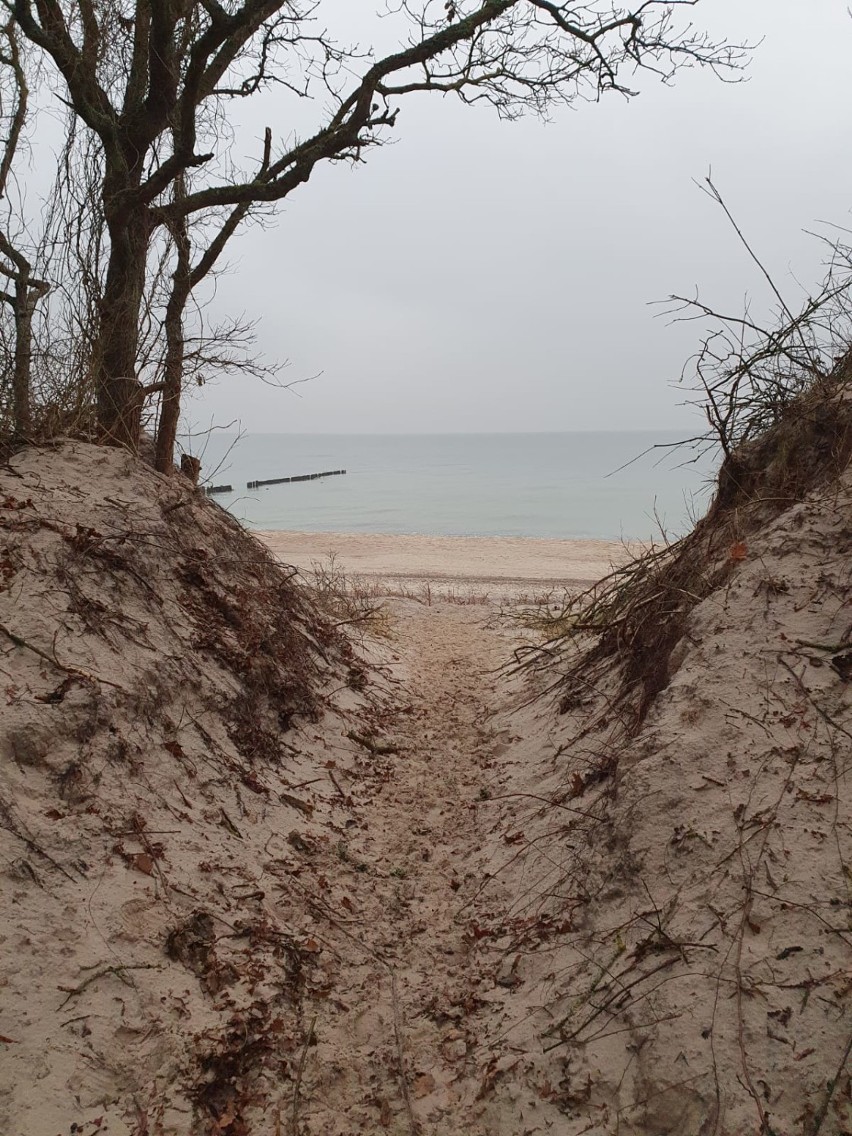 Jarosławiec, Rusinowo: Grudniowy spacer po plaży [ZDJĘCIA]