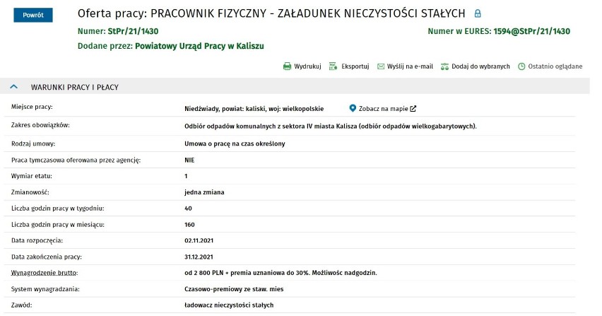 Nowe oferty pracy w Powiatowym Urzędzie Pracy w Kaliszu. Sprawdź za jaką stawkę