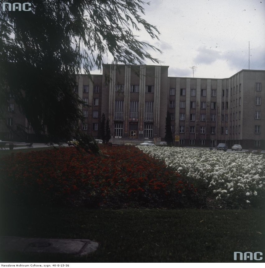 1979-06-22. Rabatka kwiatowa przed siedzibą Urzędu Wojewódzkiego (tzw. gmach PKWN) przy placu Niepodległości nr 1