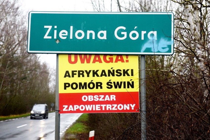 Takie tablice pojawiły się na drogach wjazdowych do Zielonej...