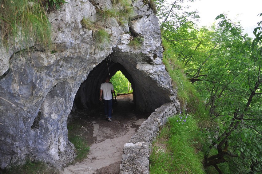 Na terenie parku znajdują się liczne groty i jaskinie. Fot....