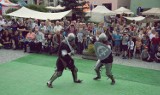 Średniowieczny 3 maja w Dusznikach-Zdroju (GALERIA)