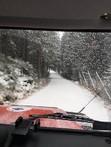 Śnieg na Dolnym Śląsku! Biało na Chełmcu, w Walimiu, w Karkonoszach! Zobaczcie, jak zimowo i pięknie! [29.11.2020]