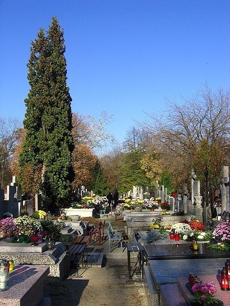 Cmentarze Warszawa. Cmentarz Bródnowski

Zabytkowy cmentarz...