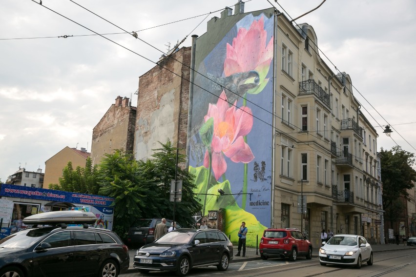 Kraków. Kruk z perłą w dziobie na kamienicy przy Karmelickiej