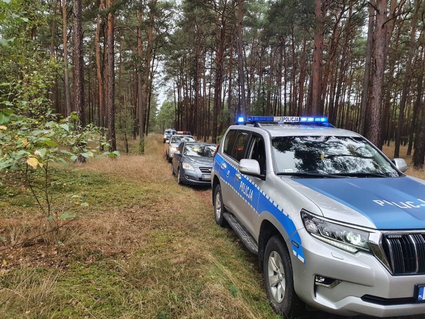 Policjanci z Bydgoszczy poszukiwali zagubionych grzybiarzy. Podpowiadają, jak zorganizować bezpieczne grzybobranie 