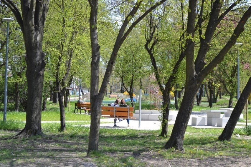 Śródmiejski Park Hallera jest chętnie odwiedzany przez...