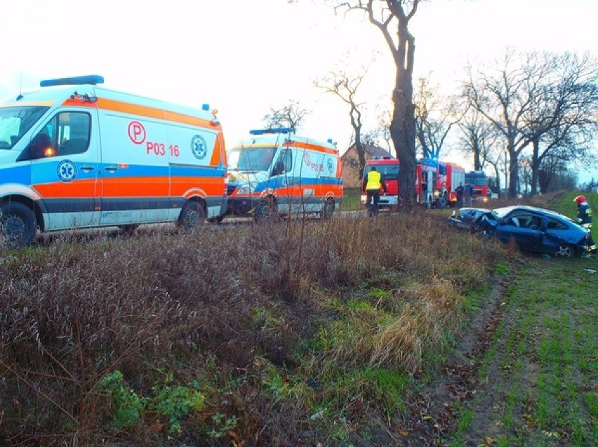 Zieleń: wypadek z udziałem dwóch osób