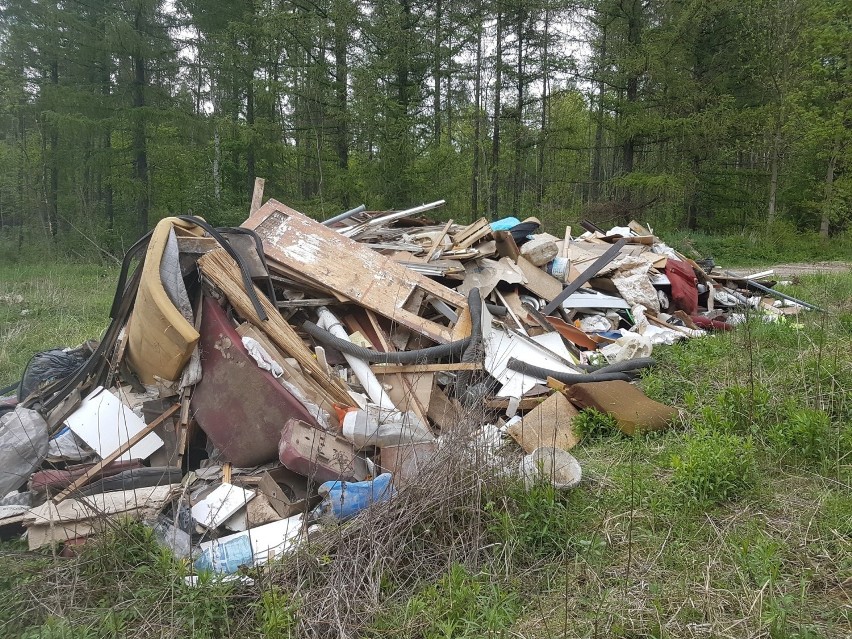 Cała góra odpadów wylądowała w dąbrowskim lesie Zobacz...