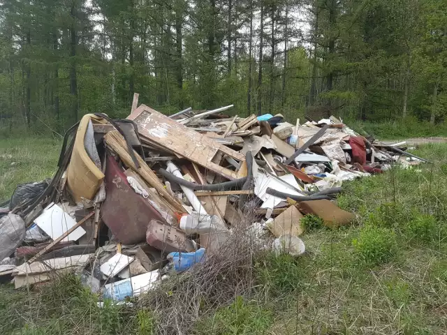 Cała góra odpadów wylądowała w dąbrowskim lesie Zobacz kolejne zdjęcia/plansze. Przesuwaj zdjęcia w prawo - naciśnij strzałkę lub przycisk NASTĘPNE