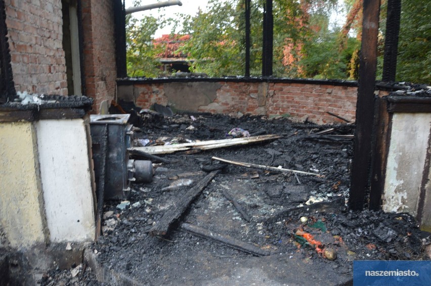 Pożar drewnianej werandy we Włocławku. Nie żyje 63-latek - wstępne przyczyny tragedii [zdjęcia]