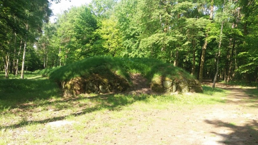 Rezerwat archeologiczny w Wietrzychowicach