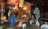 Szopki Bożonarodzeniowe w kościołach w Wejherowie [ZDJĘCIA]