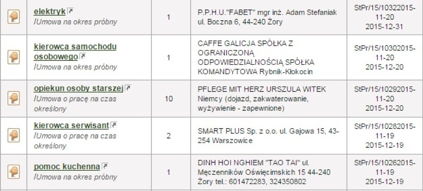 Aktualne oferty pracy w Żorach: Sprawdź, jakie są i ile można zarobić