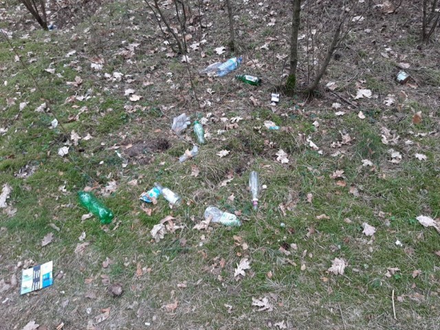 Śmieci w Lasku Zachodnim w Szczecinku