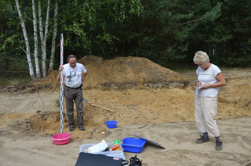Archeolodzy kopią koło Wojnicza. W zagajniku znajdowały się szczątki ludzi sprzed tysięcy lat [ZDJĘCIA]