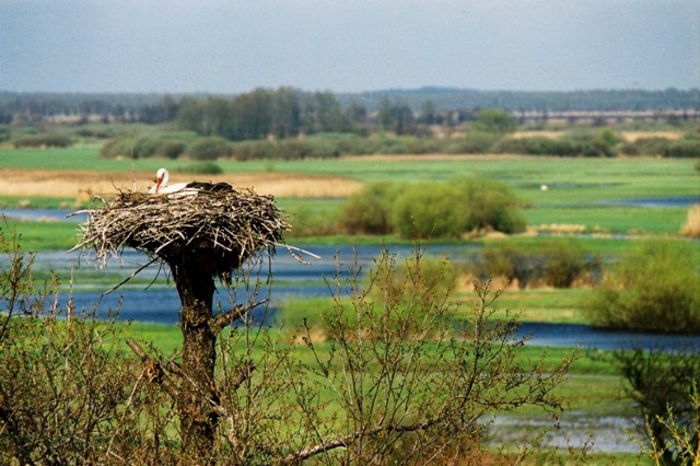 Przewozy Regionalne kierują propozycję do amatorów turystyki, zwłaszcza rowerowej.