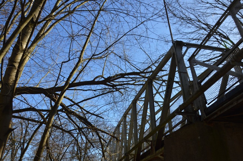Uszkodzony most Kolejarzy w Żagańskim parku. Leży na nim...