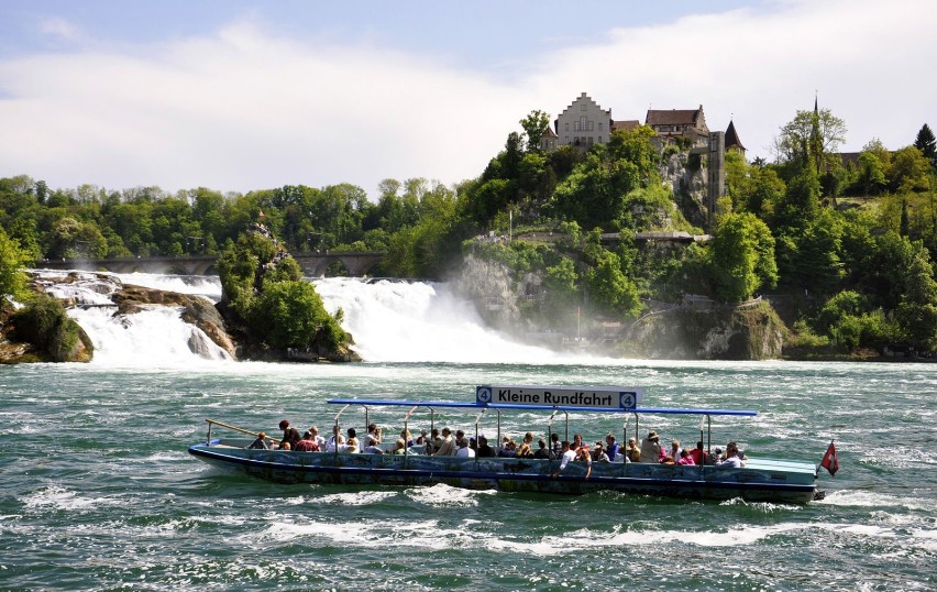 Turyści licznie odwiedzający wodospad Renu mogą go podziwiać...