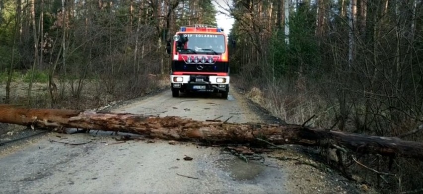 Skutki wichur w powiecie lublinieckim. Wiejący z dużą prędkością wiatr łamał drzewa i słupy ZDJĘCIA